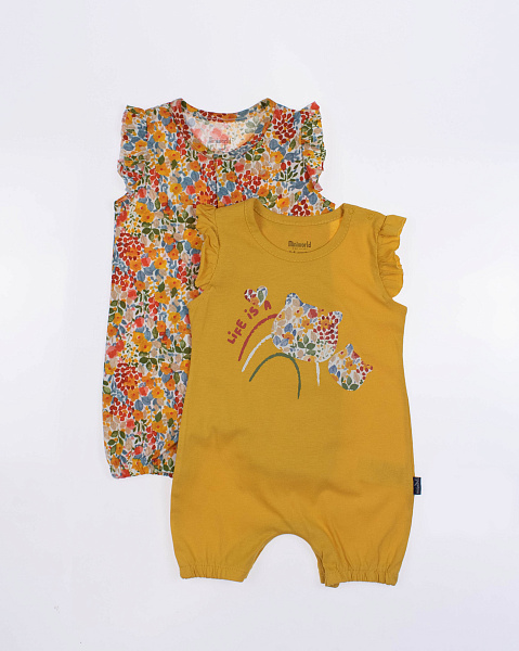 2024_04_29_0090538 2024_04_29_0090538